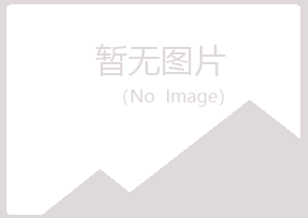 霍城县夏岚能源有限公司